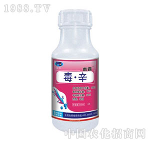 ��򸻰�����-����