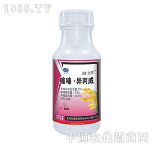 ��򸻰�����-߅��߅����ຮ�����