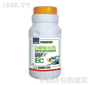 �A�S���r(n��ng)-���Sϩ��x��