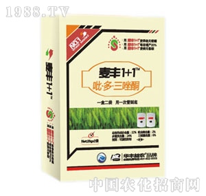 �A�S���r(n��ng)-���S1+1