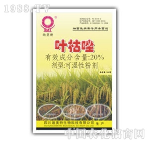 ؐ������-25%�~����