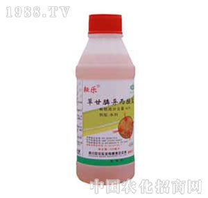 ؐ������-�Ř�