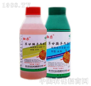 ؐ������-�Ř�