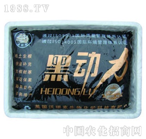 �����-�ڄ���