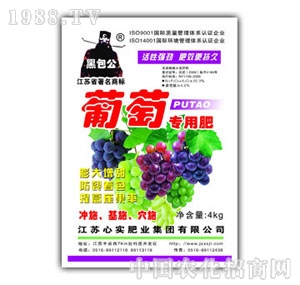 �Č�-���ь��÷�