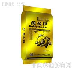 �W�P-�S���