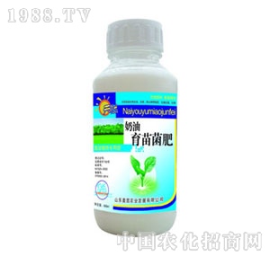 �W�P-�����������