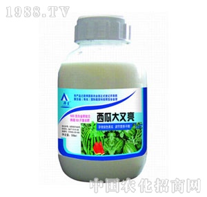 �W�P-���ϴ�����