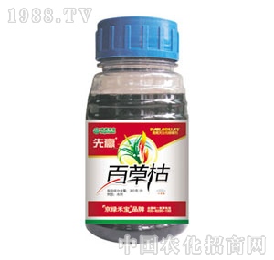 ���G�̌�-���A2̖(h��o)