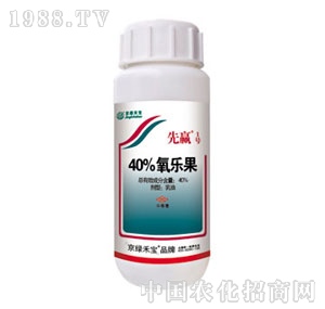 ���G�̌�-���A1̖