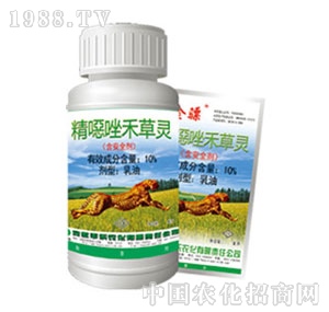 �S���r(n��ng)��-���f��̲��`