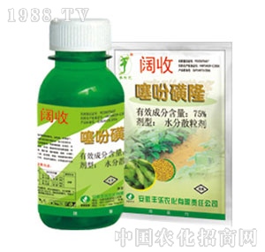 �S���r(n��ng)��-��Ի�¡