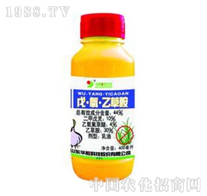 �A�(y��ng)-44%�������������Ҳݰ�