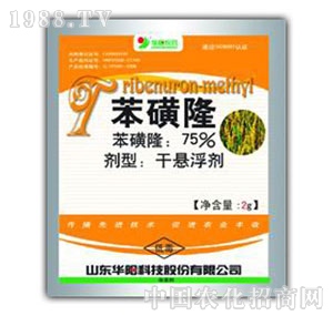 �A�(y��ng)-75%����¡�ɑҸ���