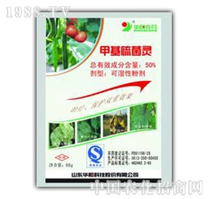 �A�(y��ng)-50%�׻�����`�ɝ��Էۄ�