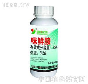 �A�(y��ng)-25%���r������