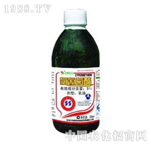 �A�(y��ng)-5%�����������