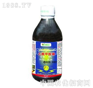 �A�(y��ng)-30%�����װ�������