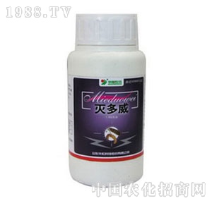 �A�(y��ng)-20%���������