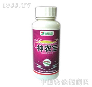 �A�(y��ng)-������