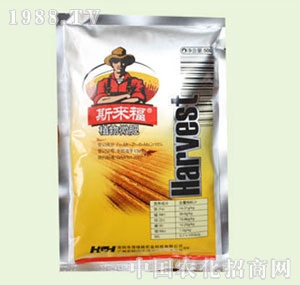 �̴T�S-˹����