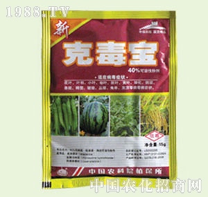 �̴T�S-�˶���