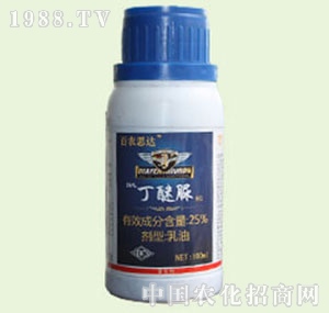 �̴T�S-������