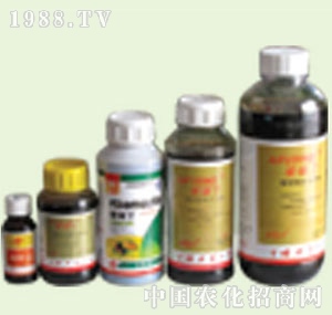 �̴T�S-�۸���1̖