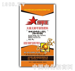 ɽ�|��Ԫ-�t����