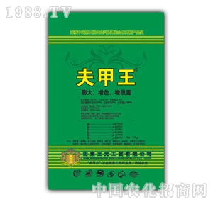 ɽ�|��Ԫ-�����