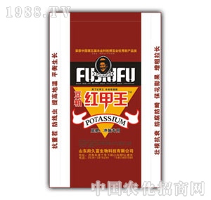 ɽ�|��Ԫ-�t����