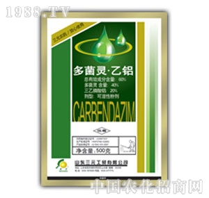 ɽ�|��Ԫ-����`���X