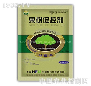 ���A��-����ٿ؄�