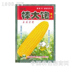 ���A��-�����