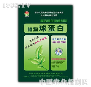 ���A��-ֲ���򵰰�