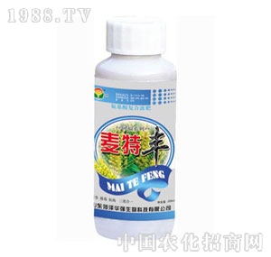 ���A��-�����S