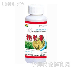 ���A��-������