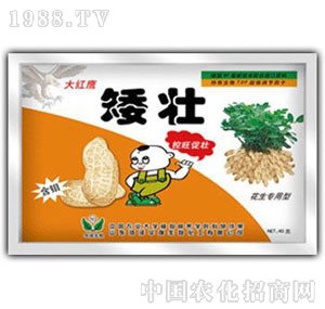 ���A��-����