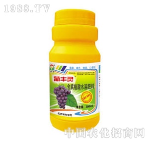 ���A��-���S�`