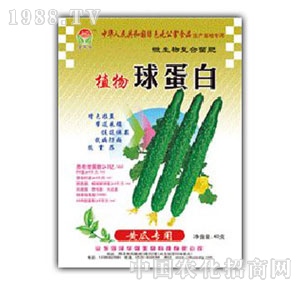 ���A��(qi��ng)-ֲ���򵰰��S�ό���