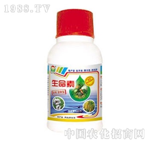 ���A��(qi��ng)-������