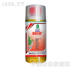 ɽ�|��Ԫ-׷������