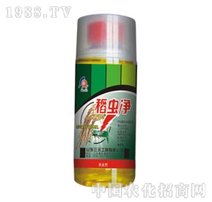 ɽ�|��Ԫ-���x��