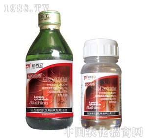 ��(sh��)��-�@���x�^