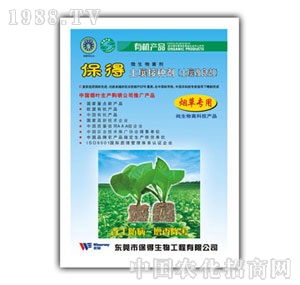 �����ӷN�����݌�(zhu��n)��