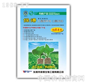 �����������������݌�(zhu��n)��