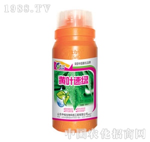 ��ԣ����-�S�~�پG