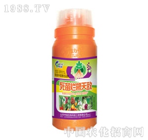 ��ԣ����-���砀���씳