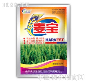 ��ԣ����-����