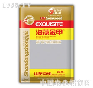 ��ԣ����-������